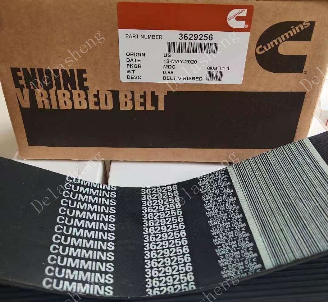 Cummins V Ribbed Belt 3629256 5413027  KTA50